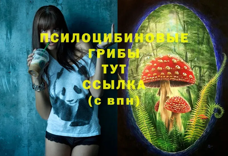 Псилоцибиновые грибы Magic Shrooms  hydra ссылки  Уфа 